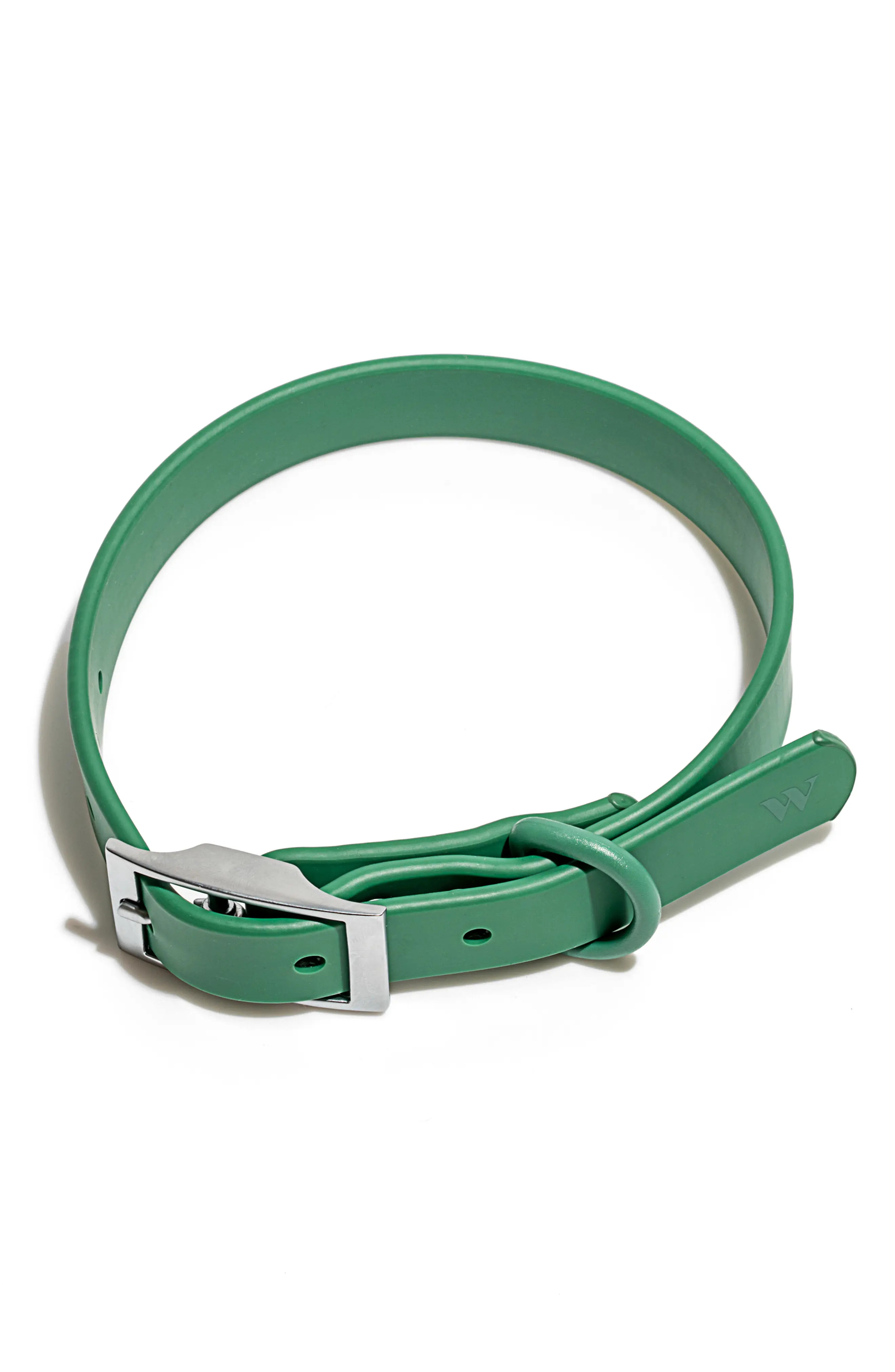 Wild One All-Weather Dog Collar in Spruce at Nordstrom, Size Small | Nordstrom