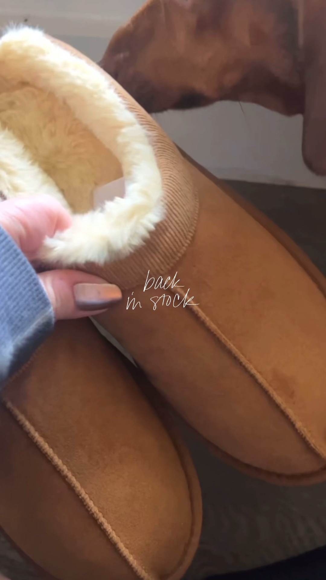 I’ve had mine two years and still going strong!! Tts 

#LTKFindsUnder50 #LTKOver40 #LTKSeasonal