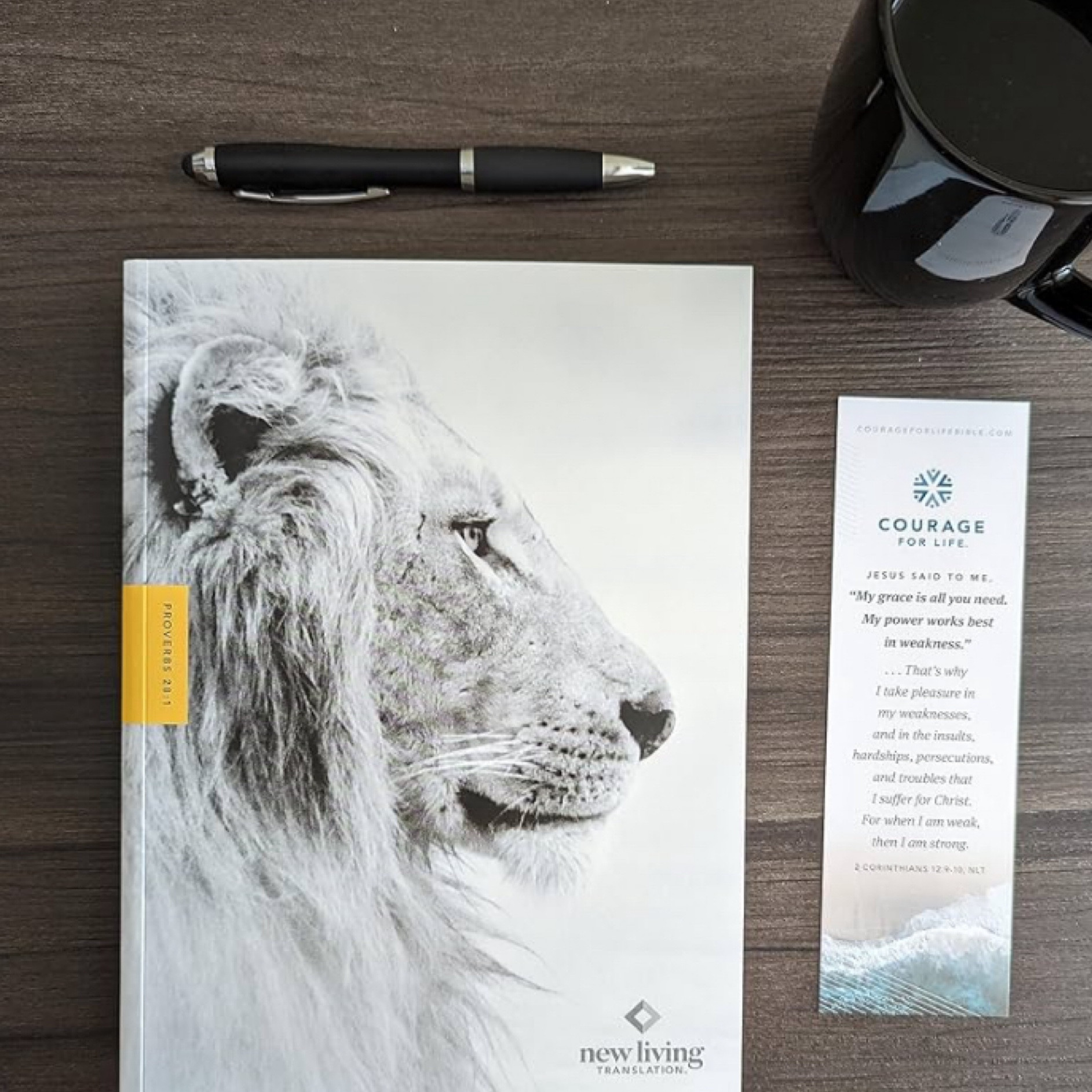 Courage for Life Study Bible
Perfect Bible for everyday reading, note-taking, and real-life faith. Graduation gift for him.

#LTKFindsUnder100 #LTKFindsUnder50 #LTKGiftGuide