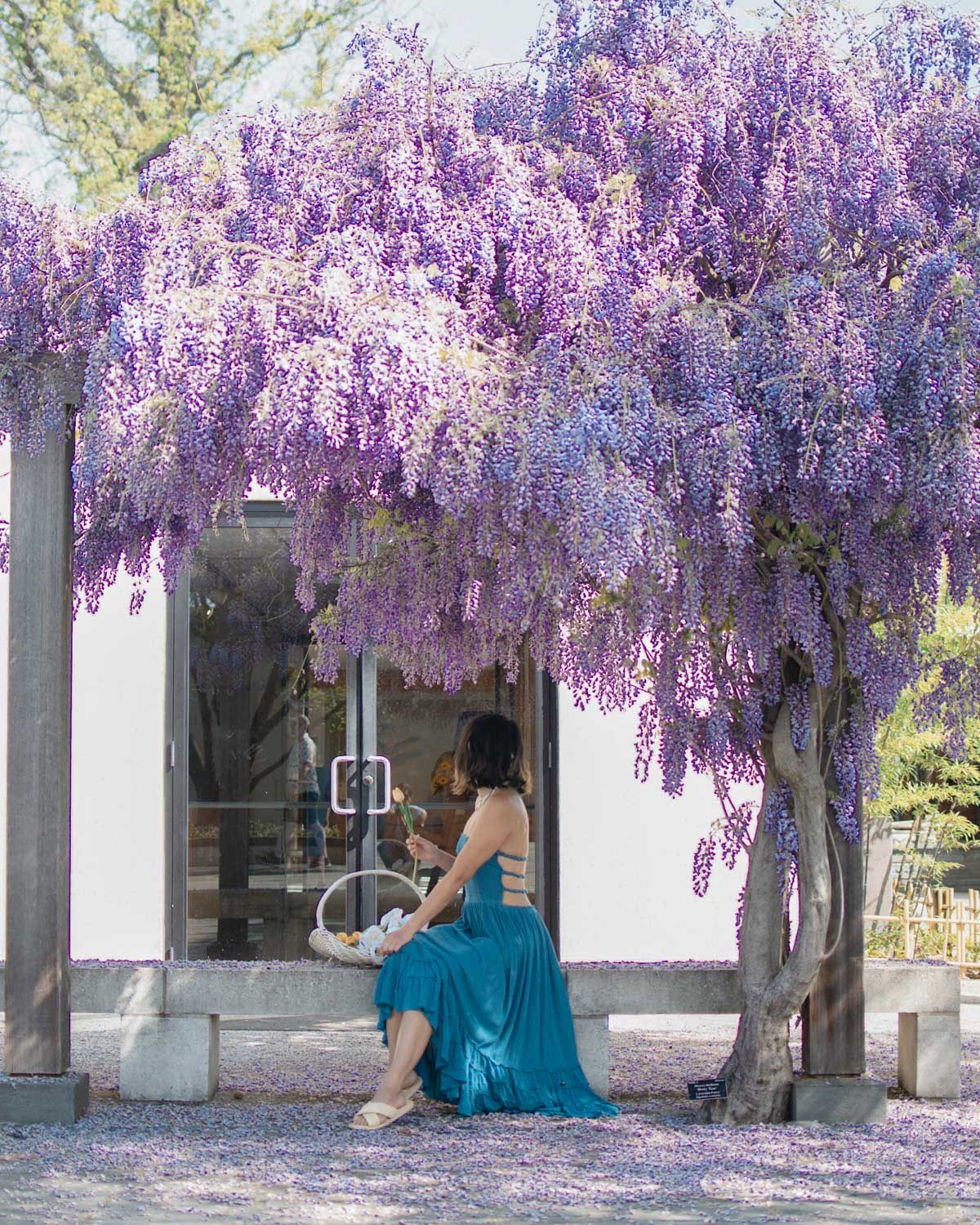 Amazon spring dress
