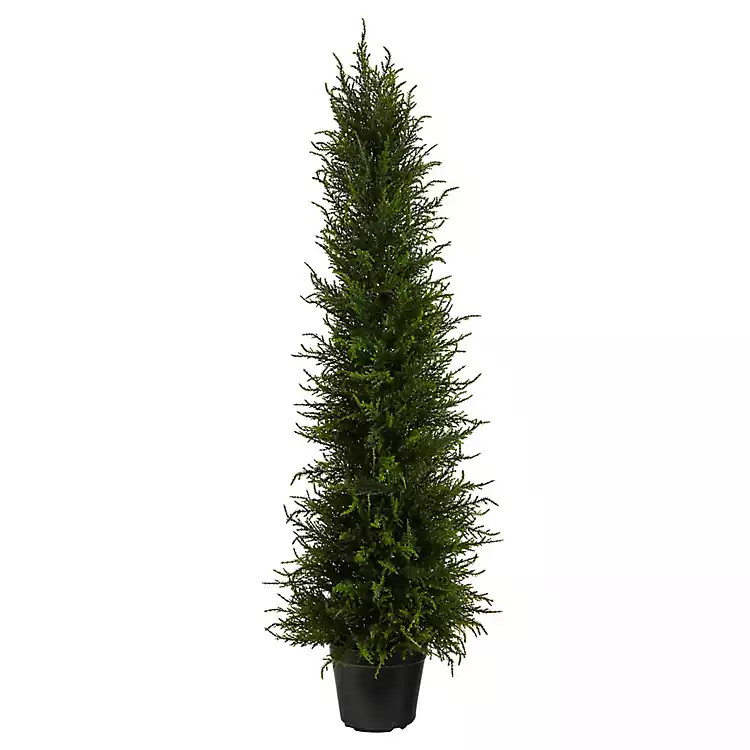 Outdoor Cypress Tree in Nursery Planter, 41 in. | Kirkland's Home