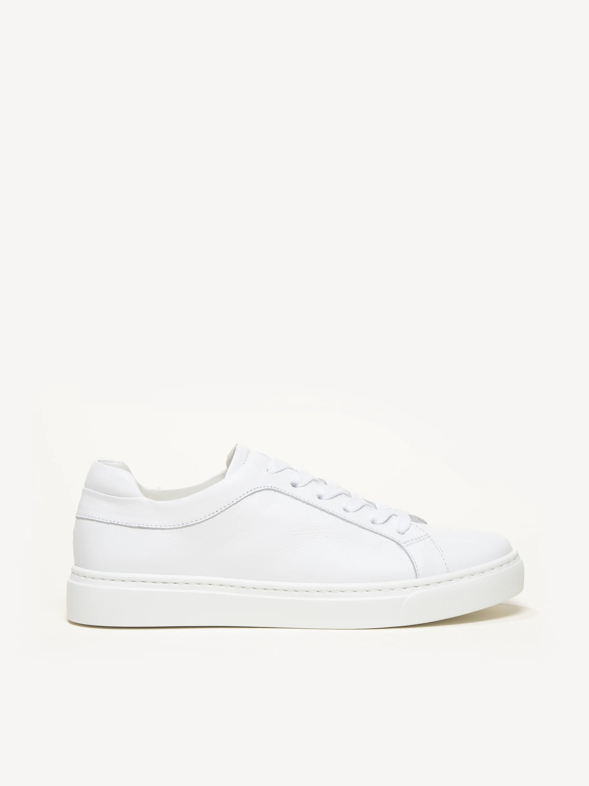 The Palestra Due | M.GEMI