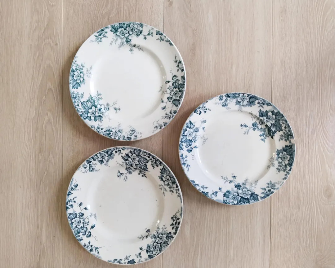 Assiettes en faience de Saint Amand et Hamage , Terre de fer , modèle Marie Louise , coloris ble... | Etsy (US)