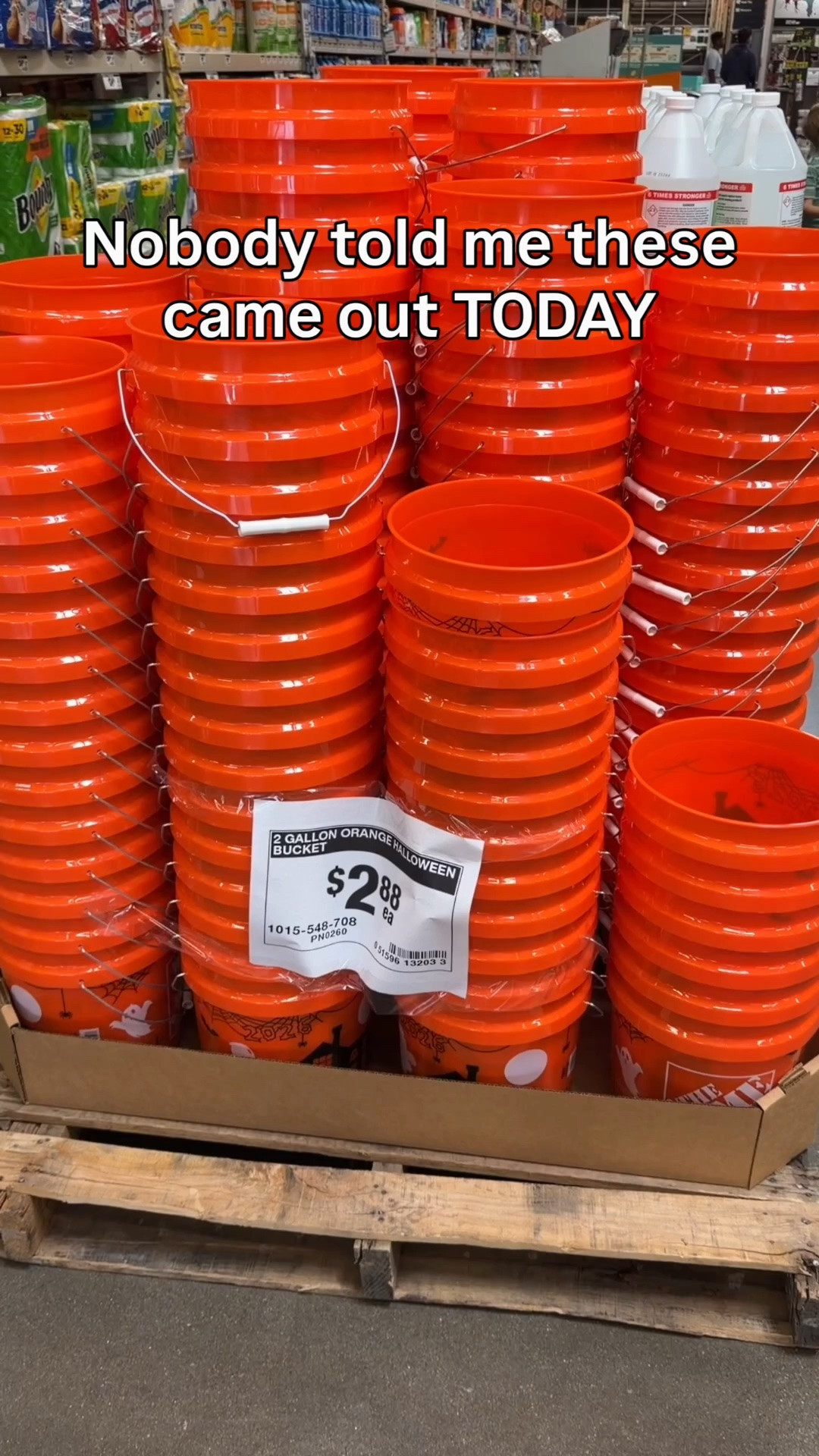 Halloween bucket

#LTKmomlife #LTKHome #LTKSeasonal