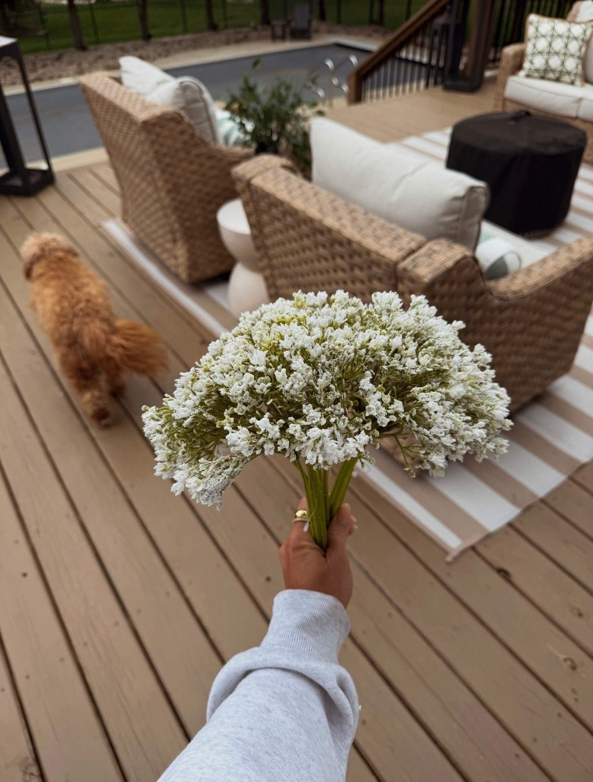 These stems from Walmart are so cute 🤍

#LTKdayinmylife #LTKHome #LTKSeasonal