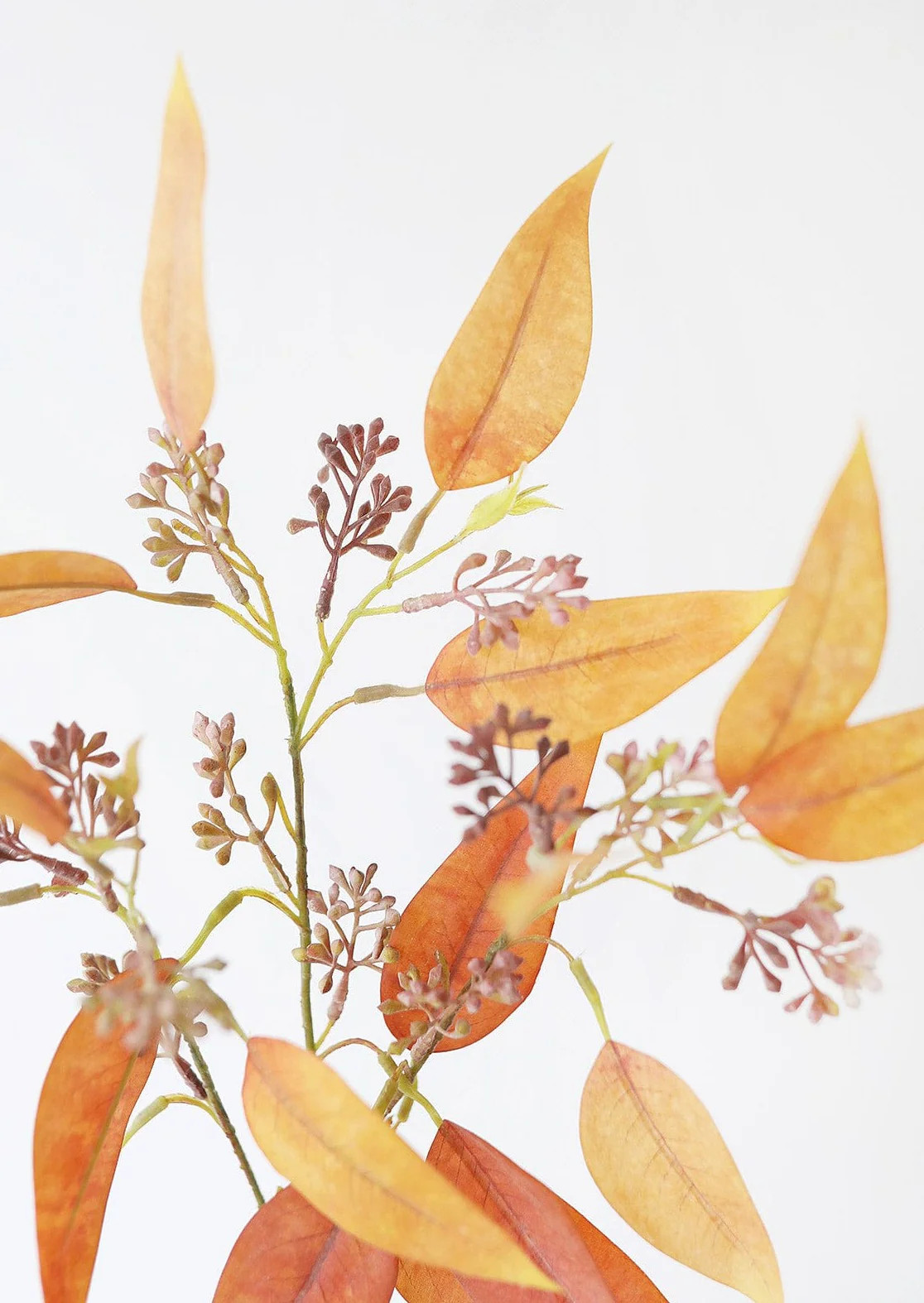 Fake Terracotta Eucalyptus Leaves - 23 | Afloral (US)