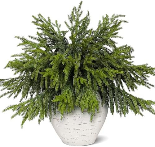 20 Pcs Real Touch Norfolk Pine Branches, Artificial Christmas Green Plants Branch Faux Greenery S... | Amazon (US)