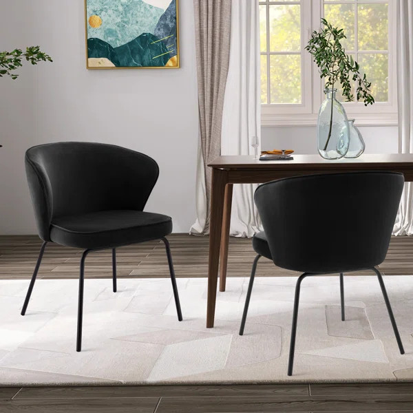 Gallashaw Velvet Wing Back Side Chair | Wayfair North America