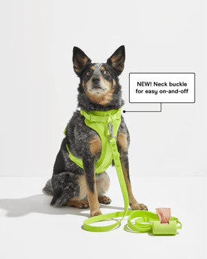 Harness Walk Kit | Dog Harness & Leash Kit | Wild One | Wild One