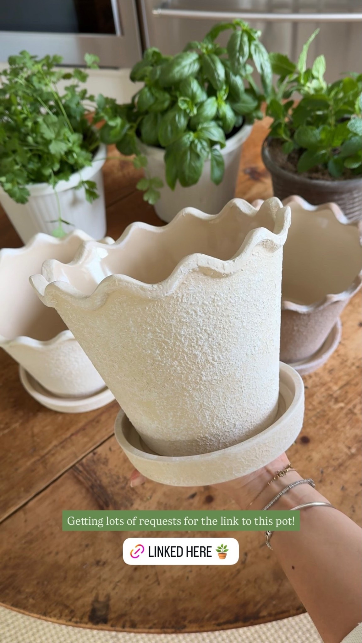 Getting lots of requests for the link to this pot!