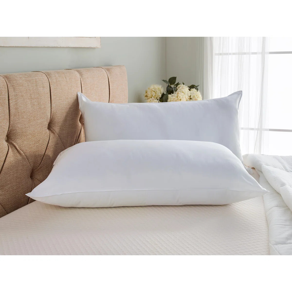Wayfair Sleep™ Polyester Plush Pillow (Set of 2) | Wayfair North America