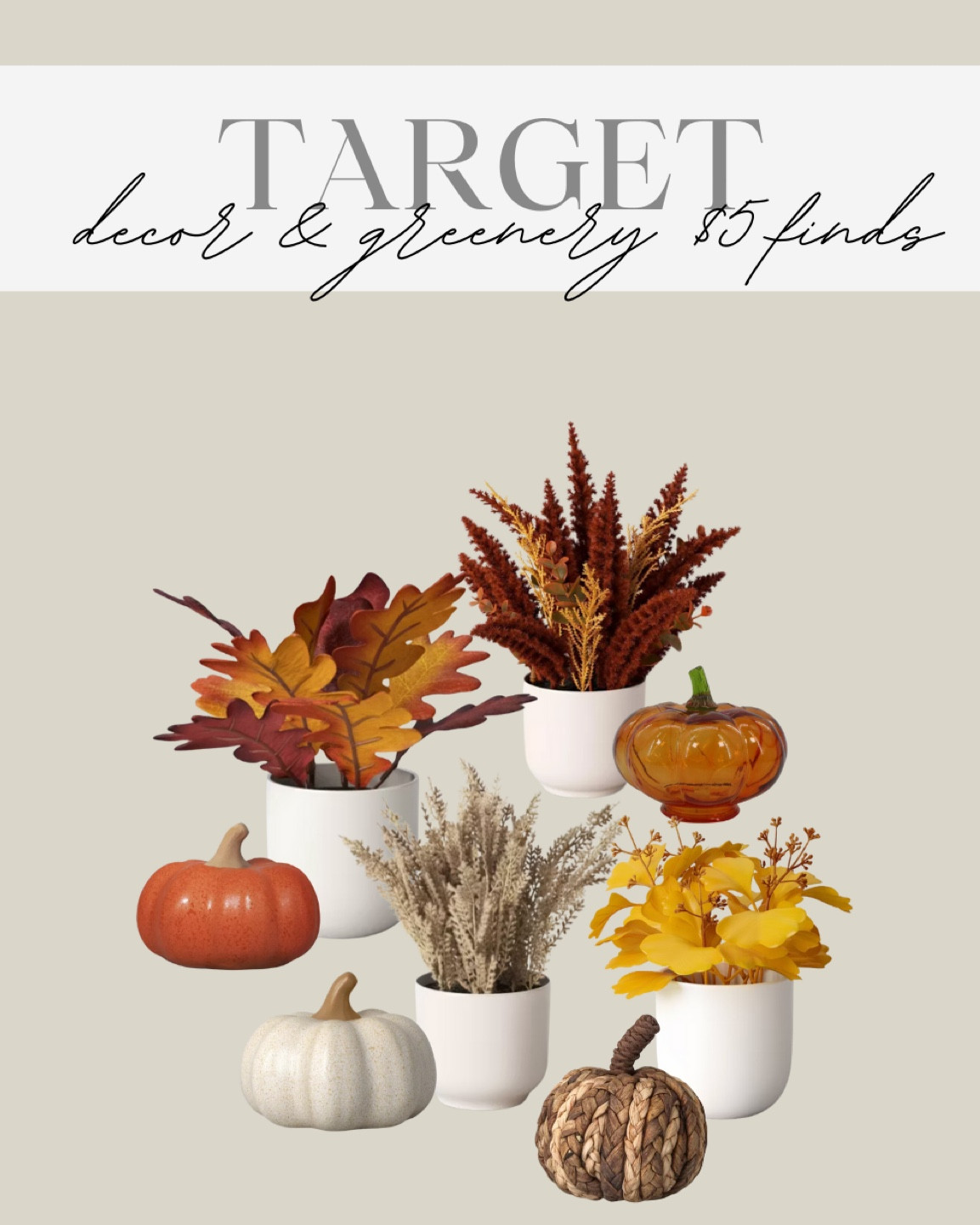 Target — $5 decor & greenery🤎 

#targethome #targetfinds #targetdecor #falldecorunder10 #falldecor #seasonaldecor #decorfinds #affordablefinds #autumn #fallgreenery #falldecorativeobjects #fallseason #targetfallfinds #onabudget #foundattarget 

#LTKHome #LTKSeasonal #LTKFallSale