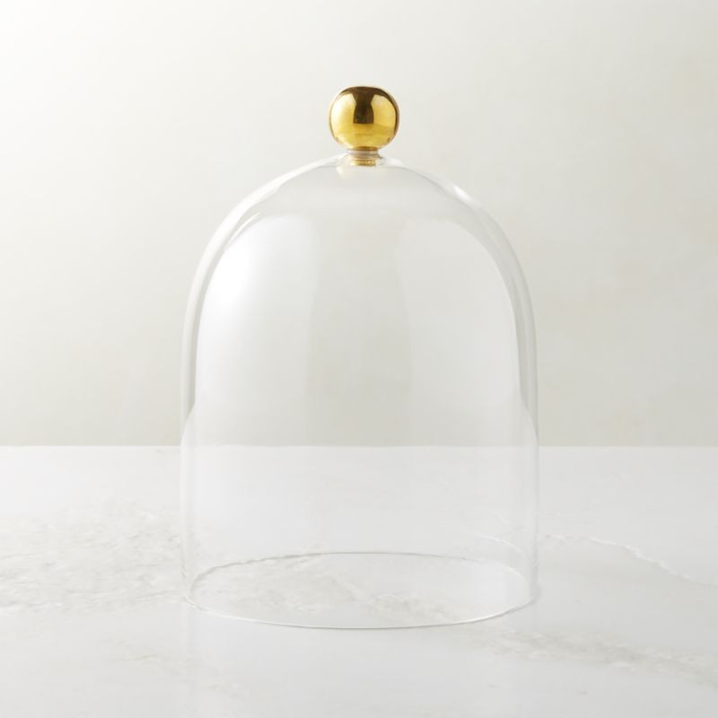 Glass Cloche + Reviews | CB2 | CB2