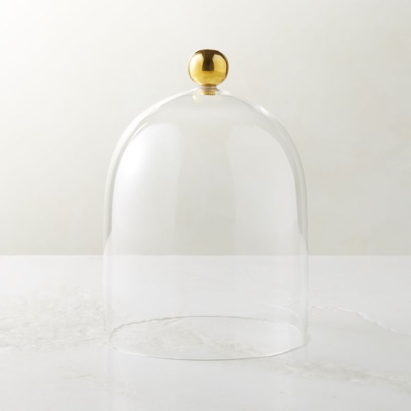 Glass Cloche with Unlacquered Brass Knob + Reviews | CB2 | CB2