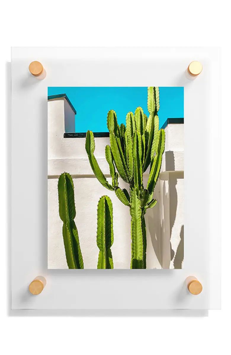 South Pasadena Cactus Floating Art Print | Nordstrom