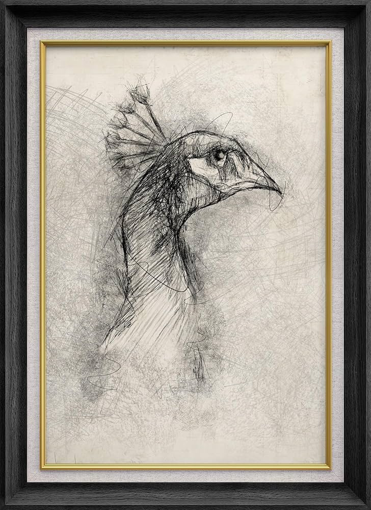 SIGNWIN Premium Frame Art Vintage Retro Peacock Bird Portrait Animals Wilderness Illustrations Fi... | Amazon (US)