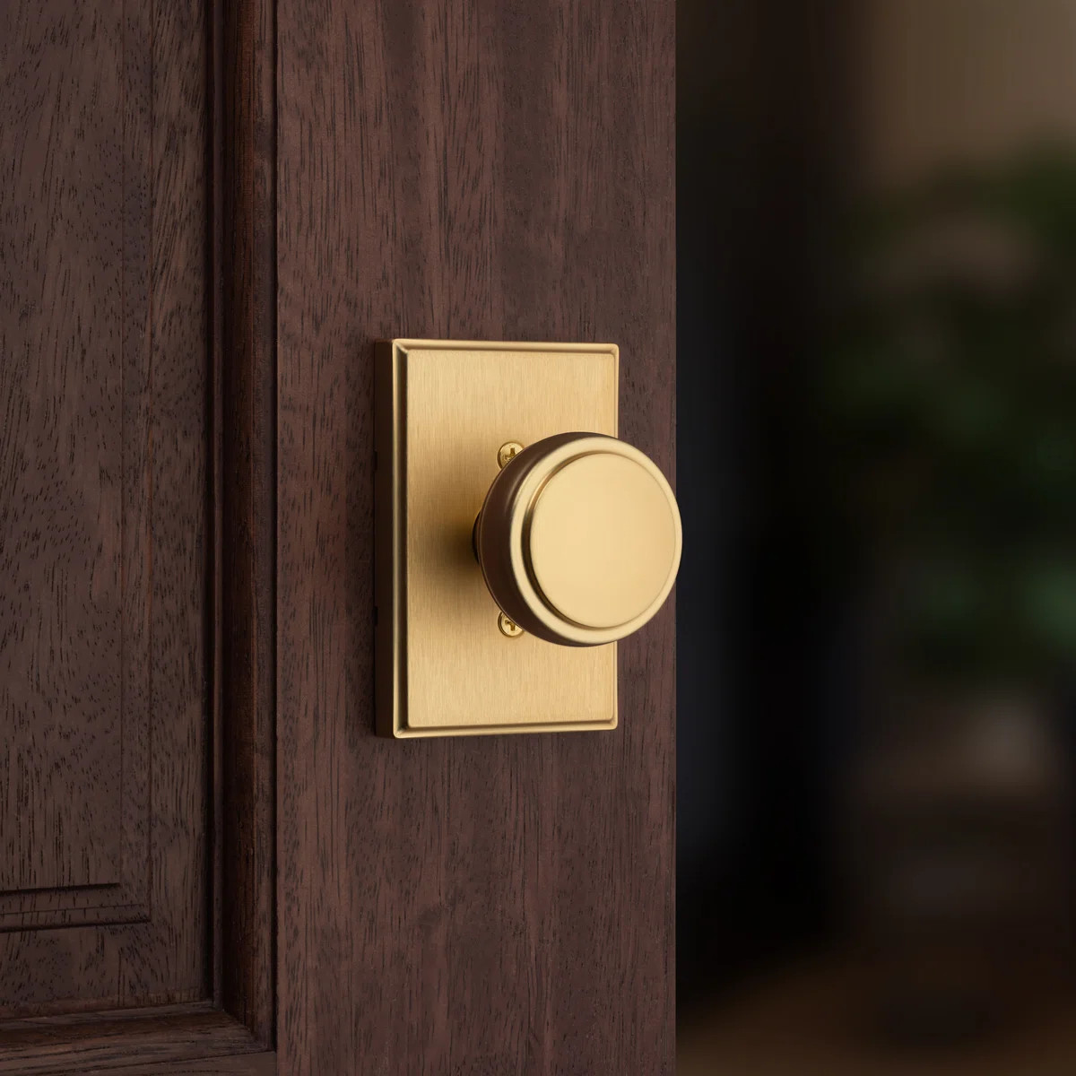 Sora Half Dummy Knob w/ Rectangular Rose in | Wayfair North America