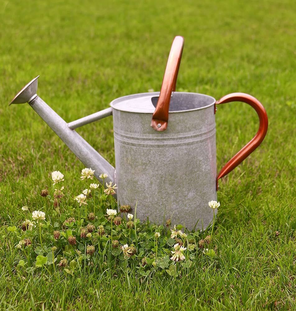 Watering Can for Outdoor Plants，Rustic Metal Plant Watering Can with Copper Handles,1 Gallon Ga... | Amazon (US)