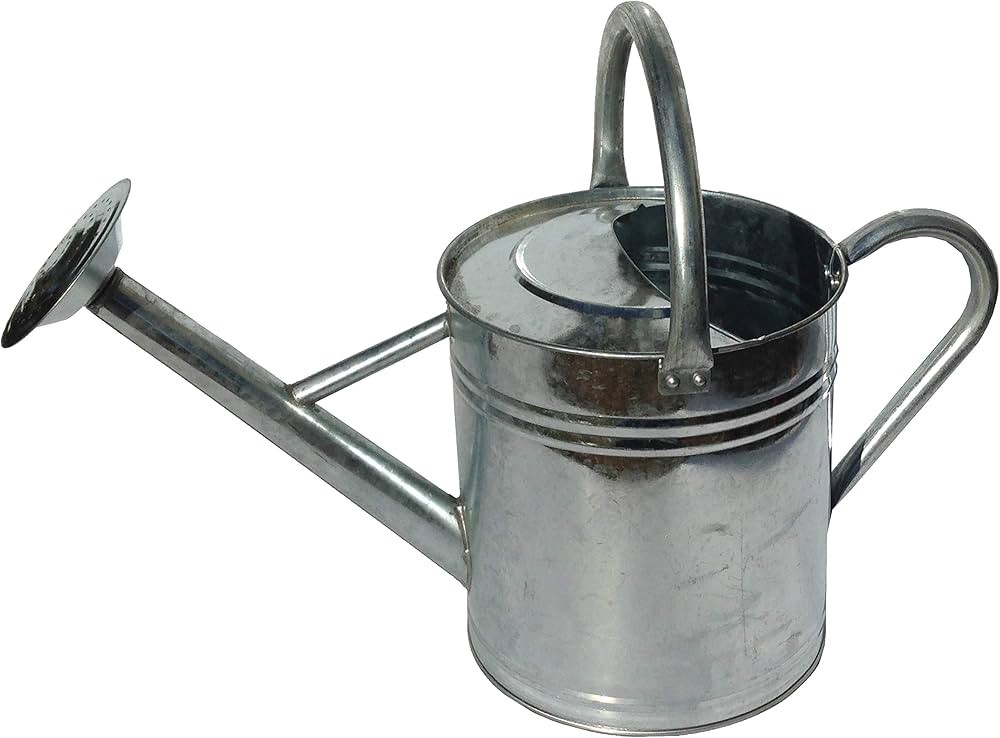 Gardener's Select AW3003P6G Watering Can, Galvanized, 3.5 L | Amazon (US)