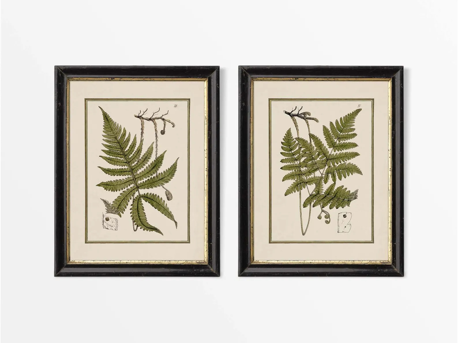 Set of Two Vintage Fern Botanical Drawings, Leaf Wall Art, Antique Still Life Paintings, Farmhous... | Etsy (US)