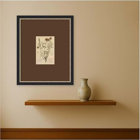 Amazon.com: Kate and Laurel Framed Wall Art Print Vintage Botanical 7b by Corinna Buchholz of Piddix, 18 x 22, Belmont Black Frame, Vintage, Flower Art for Wall Decor | Amazon (US)