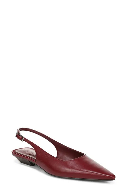 Sam Edelman Netty Slingback Pointed Toe Flat in French Merlot at Nordstrom, Size 6 | Nordstrom