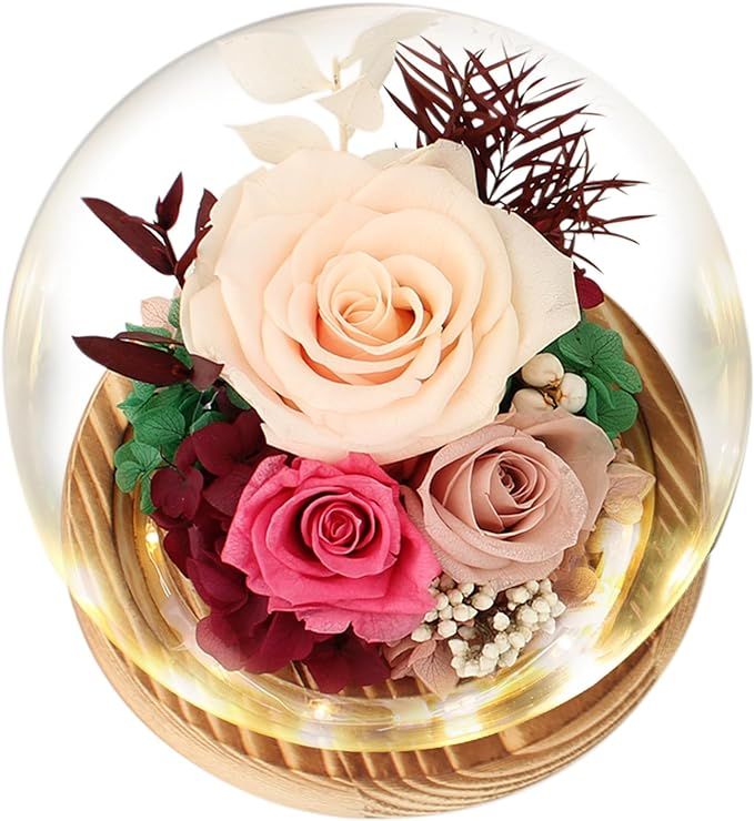 Preserved Flowers Roses Gifts for Women Mom, Fresh Flowers Forever Roses with Long-Lasting, Flowe... | Amazon (US)