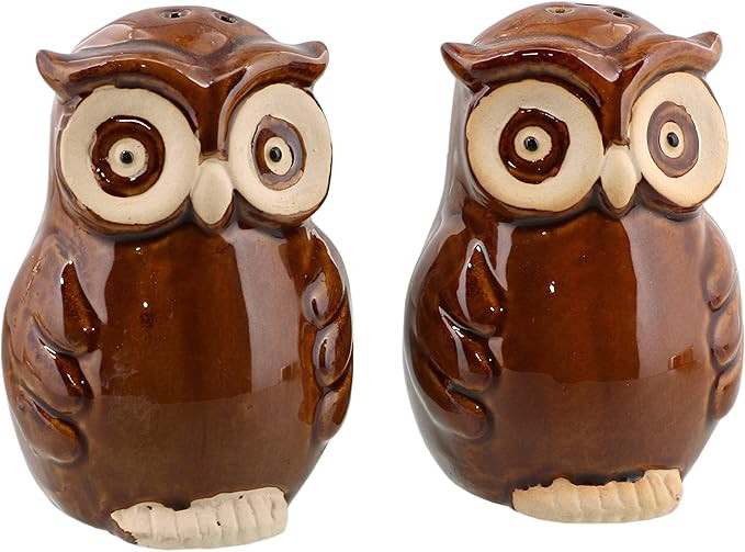 Ceramic Owl Salt and Pepper Shaker Collectors Kitchen Décor - Brown | Amazon (US)
