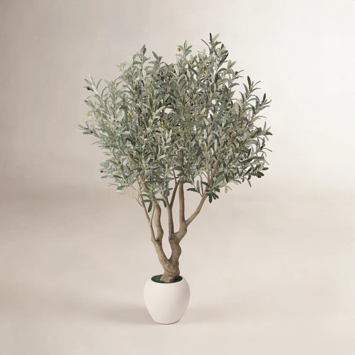 Adcock 6Ft Artificial Olive Tree In Decorative White Pot, Dense Silk Leaves With Realistic Fruits... | Wayfair North America