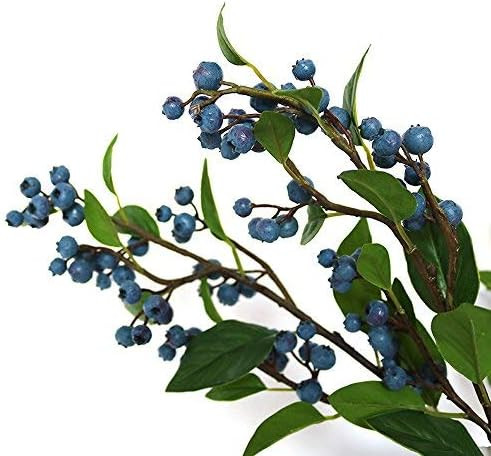 Li Hua Cat Rustic Artificial Fruit Blueberry Stem Desk Decorations for Office and Living Room 1pc... | Amazon (US)