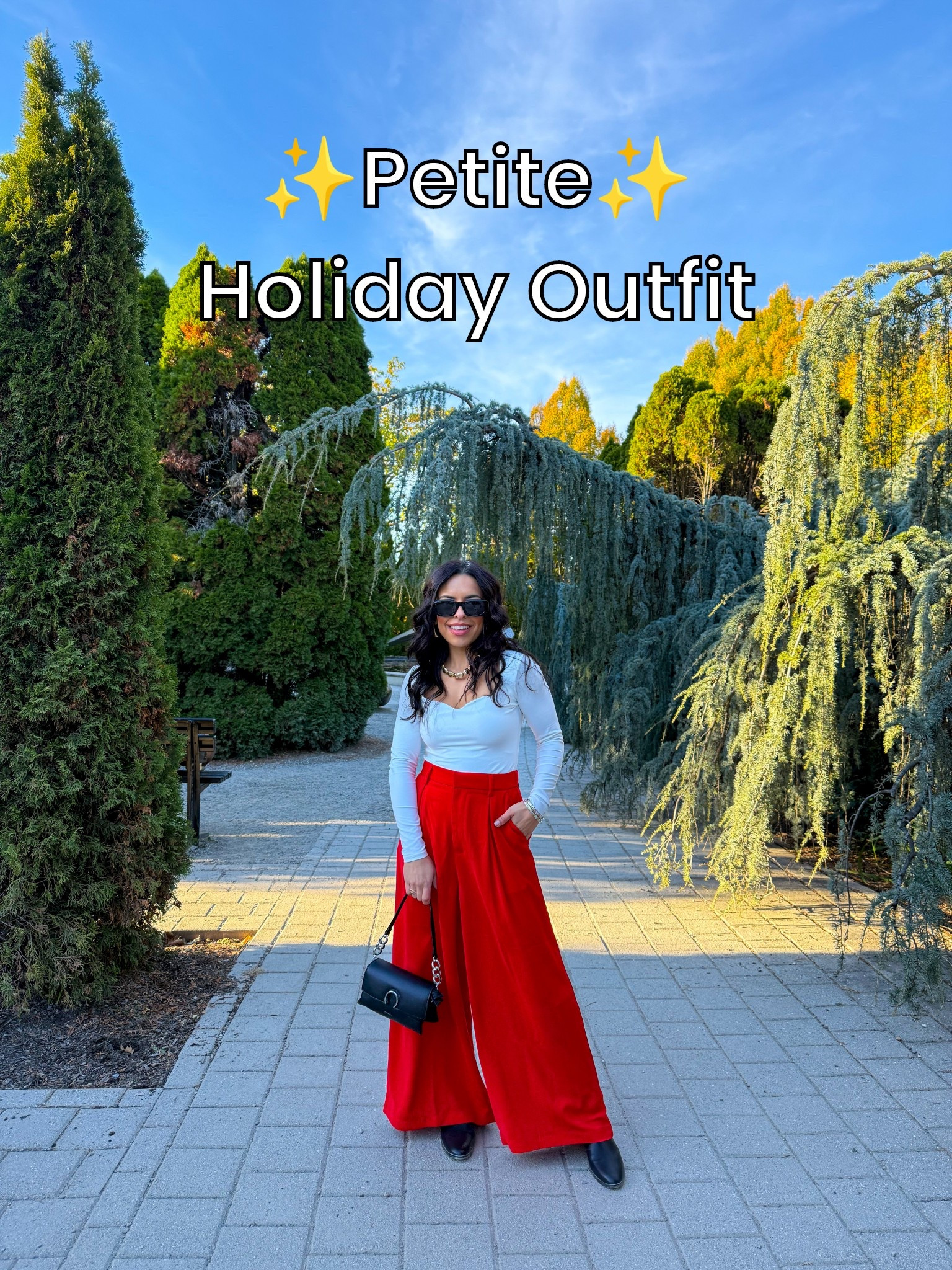 Get these red wide leg pants from Amazon in time for Christmas! Great for a work party or daily teacher outfits!! 

#LTKHoliday #LTKSeasonal #LTKPetite