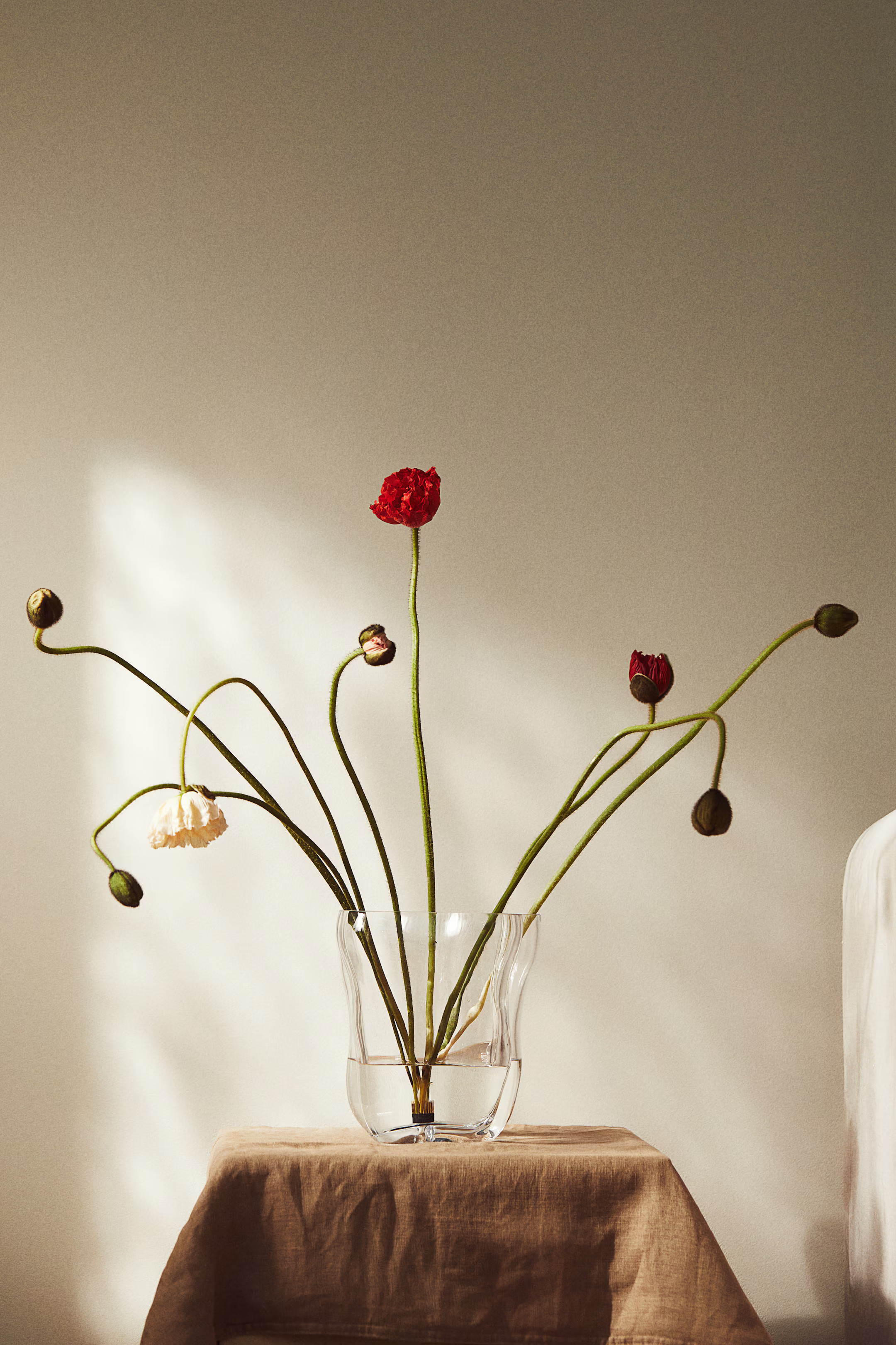 Large Glass Vase | H&M (US + CA)