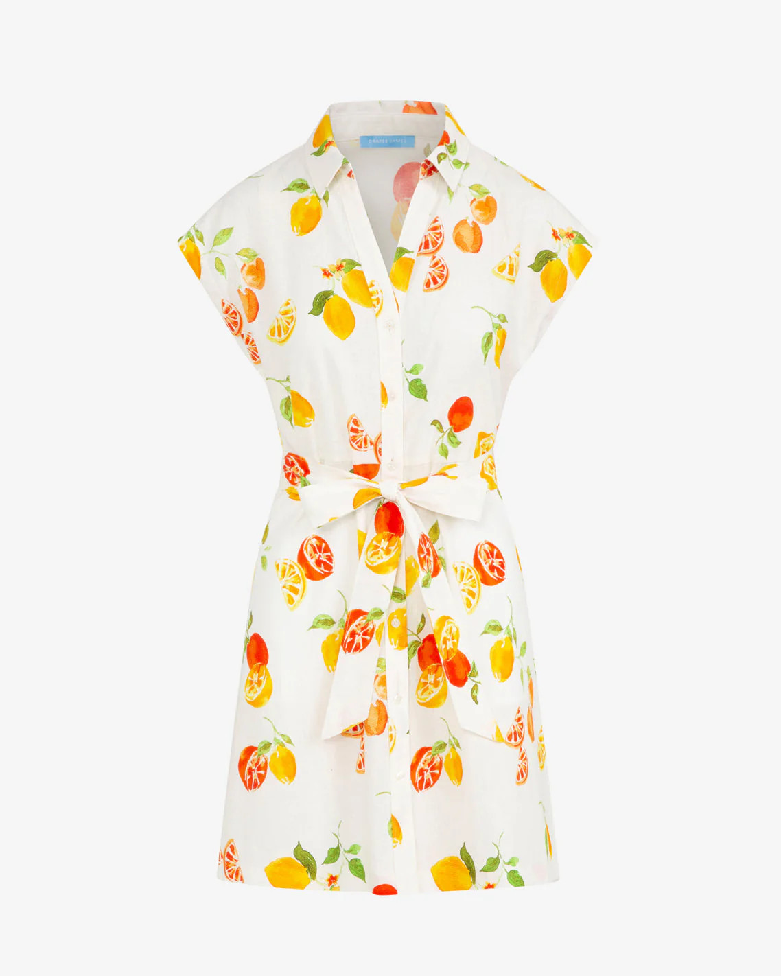 Trisha Citrus Print Dress | Draper James (US)