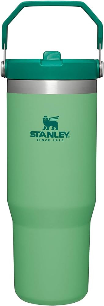Stanley IceFlow Stainless Steel Tumbler with Straw, Vacuum Insulated Water Bottle for Home, Offic... | Amazon (US)