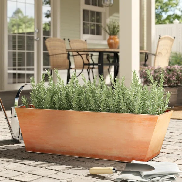 Cohen Steel Window Box Planter | Wayfair North America