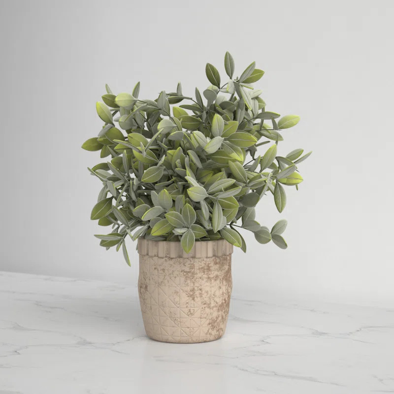 11.5'' Faux Eucalyptus Plant in Ceramic Pot | Wayfair North America