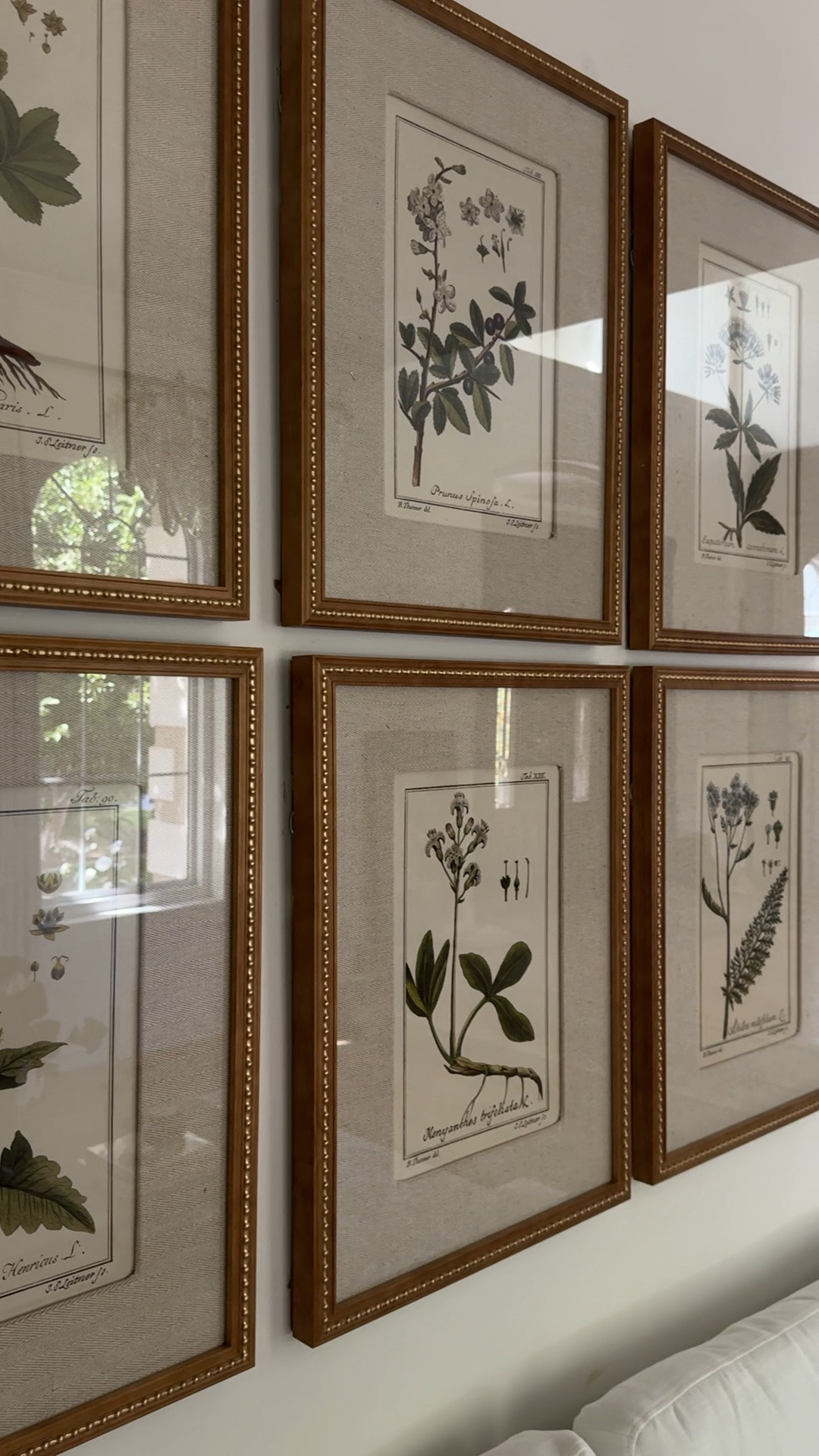 The most gorgeous botanical artwork!

#LTKHome #LTKSaleAlert #LTKSeasonal