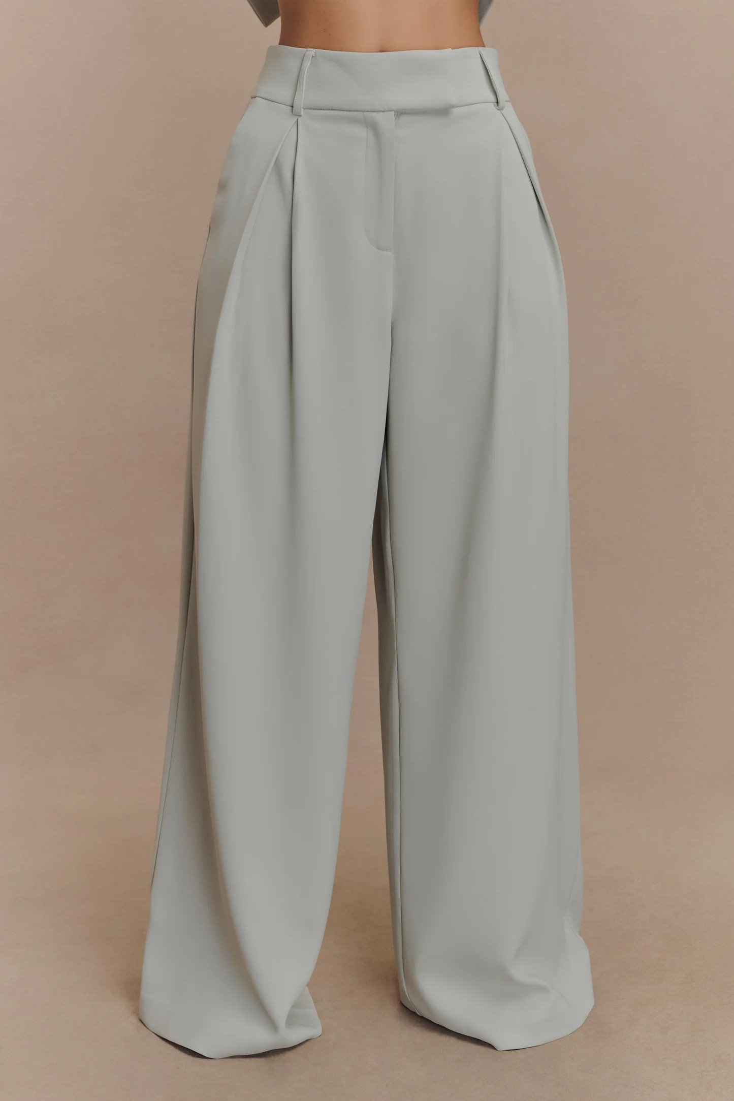 Jameson Pleated Wide Leg Pants - Light Sage | MESHKI US