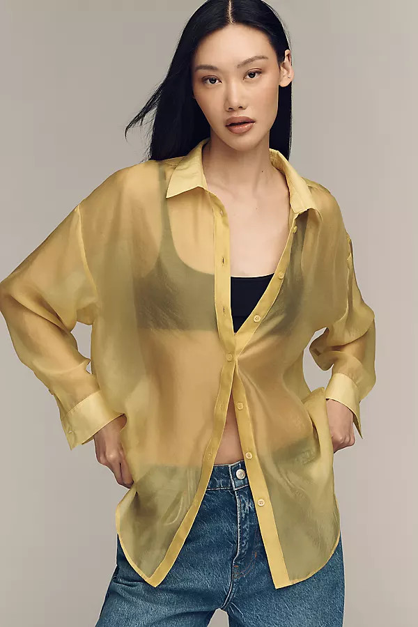 Sheer Long-Sleeve Buttondown | Anthropologie (US)