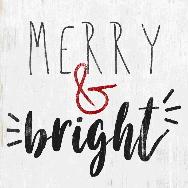 Merry Bright On Canvas Textual Art | Wayfair North America
