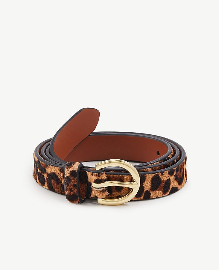 Leopard Print Haircalf Trouser Belt | Ann Taylor (US)
