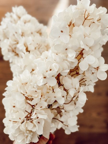 The MOST gorgeous and realistic faux hydrangea stems I’ve ever seen!

#LTKSeasonal #LTKitbag #LTKfindsunder50