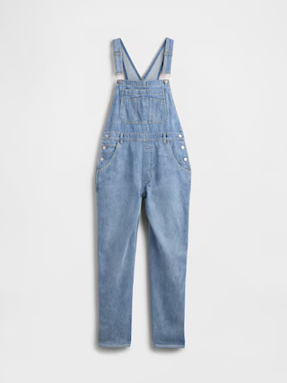 Denim Stripe Loose Overalls | Gap (US)