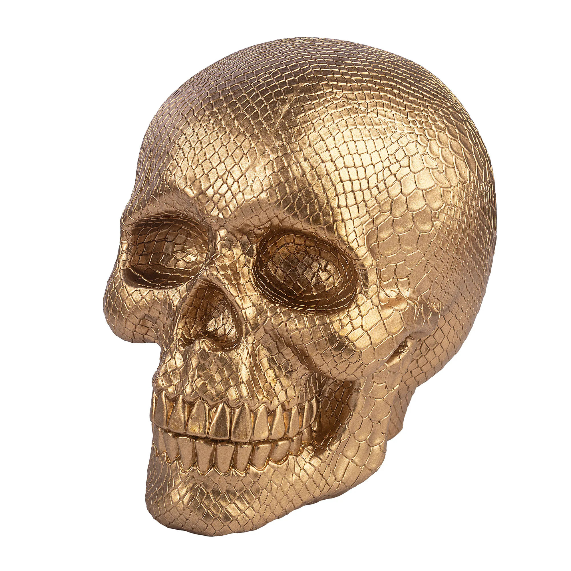 Haunted Living 7-in Gold Snakeskin Skull Tabletop Sculpture | 88H5525A | Lowe's