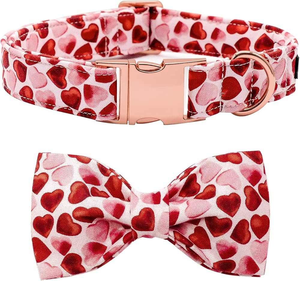 Maca Bates Valentine's Day Dog Collar with Fancy Bow for Small Girl Boy Dogs,Red Love Hearts Patt... | Amazon (US)