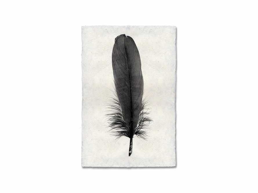 Feather Study Print VI | Arhaus