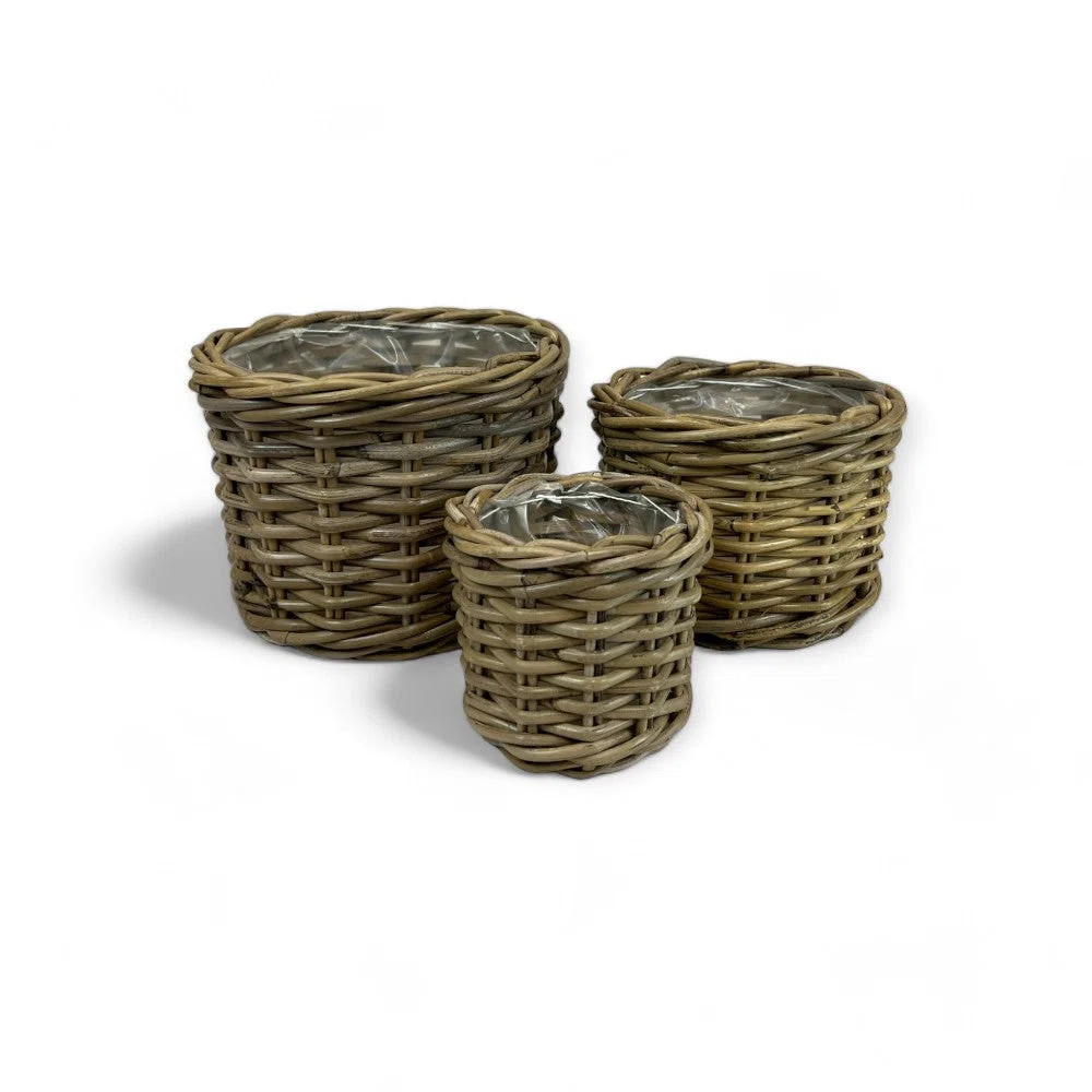 Planter Basket Medium | Wayfair North America