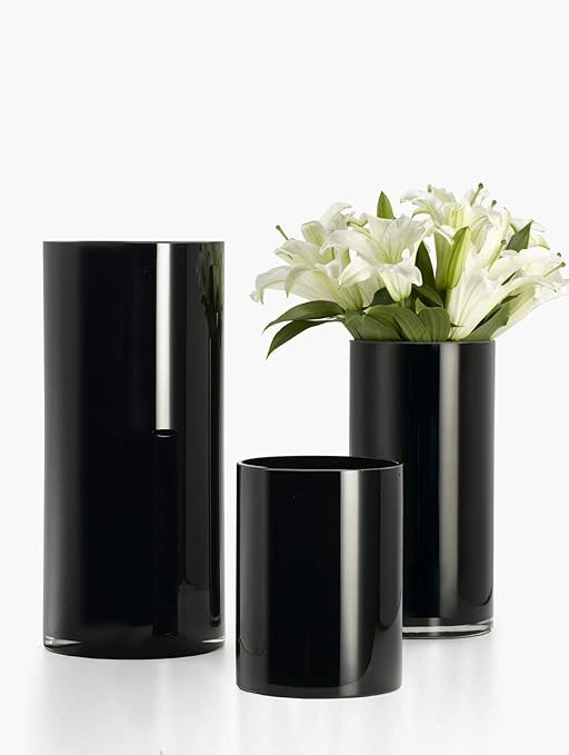 Serene Spaces Living Modern Black Glass Cylinder Vase, Set of 3 - Small, Medium and Large Vase, S... | Amazon (US)