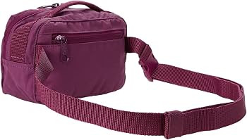 Fjallraven Women's Kanken Hip Pack | Amazon (US)