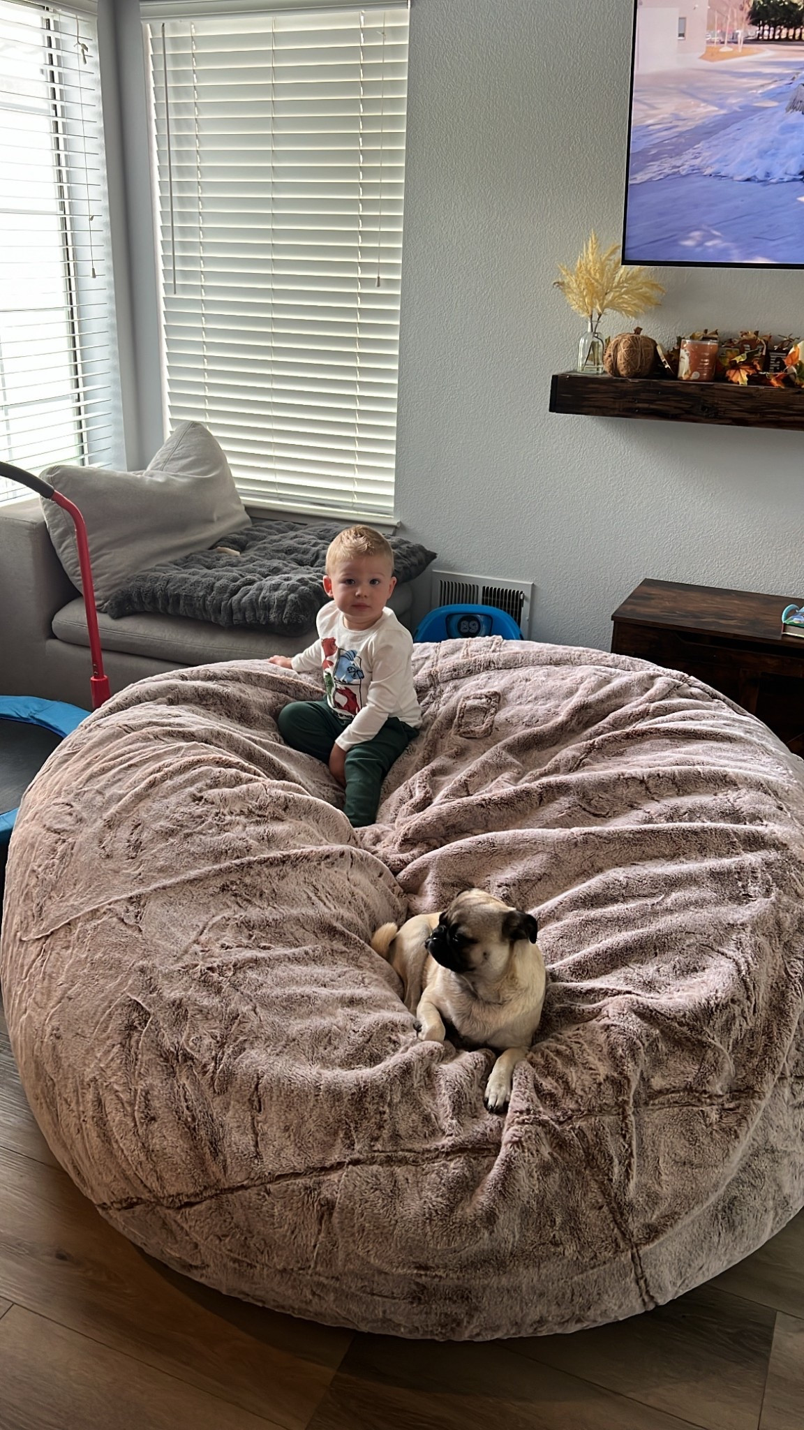 SuperSac in color: Wombat Fur! 40% off for military/first responders right now! 

SO WORTH IT! 

#LTKHome #LTKKids #LTKFamily